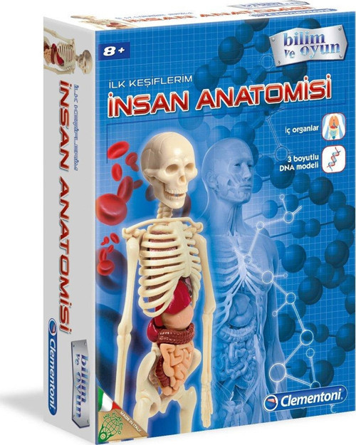 İnsan Anatomisi - Bilim ve Oyun +8 yaş