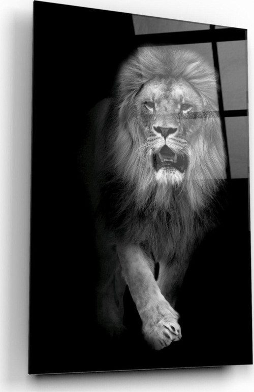 Aslan Cam Tablo