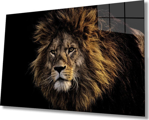 Aslan 20 Hayvan Cam Tablo