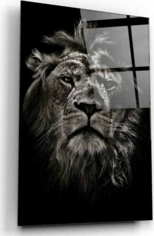 Aslan Cam Tablo
