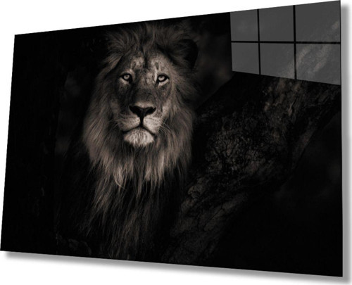 Aslan 25 Hayvan Cam Tablo