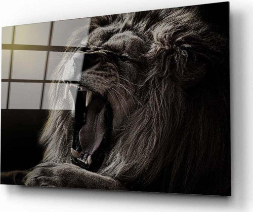 Aslan 5 Cam Tablo