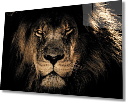 Aslan Hayvan Cam Tablo 4 mm Dayanıklı Temperli Cam