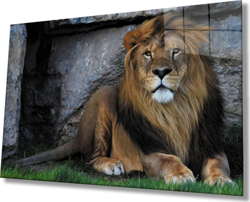 Aslan Hayvan Cam Tablo 4 mm Dayanıklı Temperli Cam