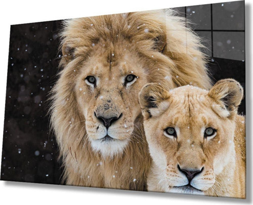 Aslan Hayvan Cam Tablo 4 mm Dayanıklı Temperli Cam