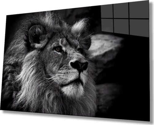 Aslan Hayvan Cam Tablo 4mm Dayanıklı Temperli Cam