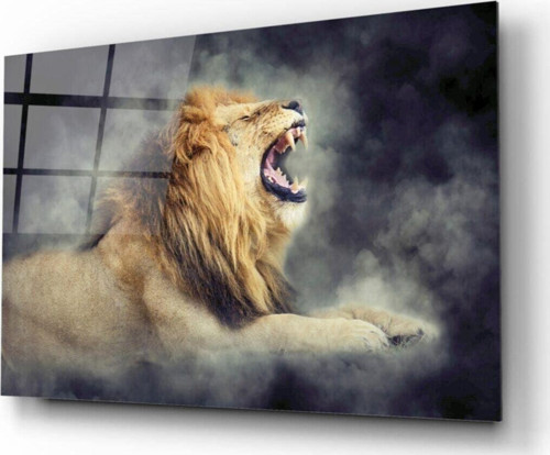 Aslan Cam Tablo