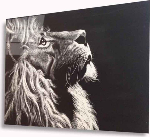Aslan Cam Tablo 4 mm Dayanıklı Temperli Cam
