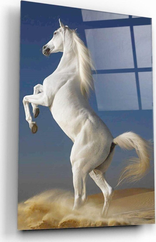 Beyaz At Cam Tablo