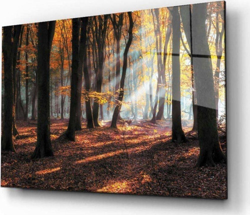 Doğa Manzara Cam Tablo 4 mm Dayanıklı Temperli Cam
