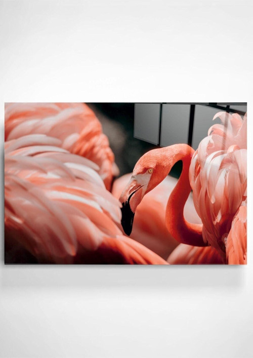 Flamingo Cam Tablo