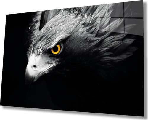 Kartal 4 Hayvan Cam Tablo