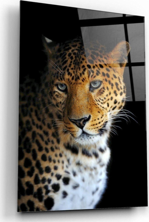 Leopar Cam Tablo