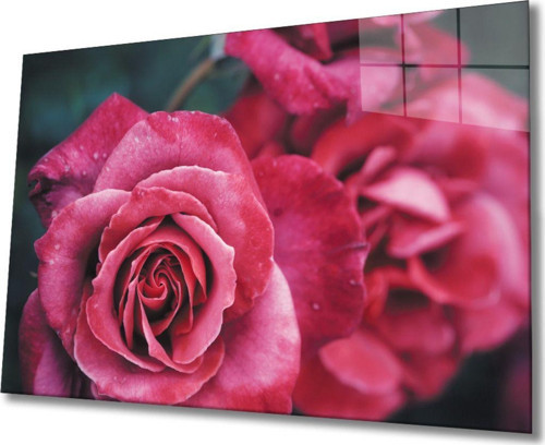 Rose 1 Cam Tablo