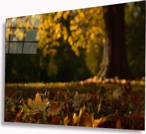 Sonbahar Cam Tablo 4 mm Dayanıklı Temperli Cam