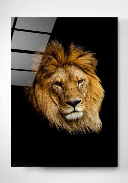 Aslan-1 Cam Tablo