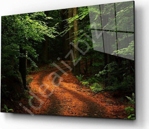 Doğa Manzara Cam Tablo 4 mm Dayanıklı Temperli Cam