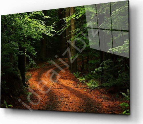 Doğa Manzara Cam Tablo 4 mm Dayanıklı Temperli Cam