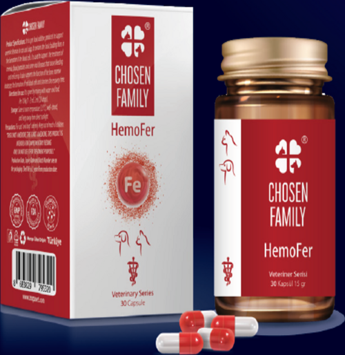 Chosen Family Hemofer - Kedi ve Köpekler İçin Ameliyat ve Hastalık Sonrası Kan Değerlerini Yükseltici Takviye