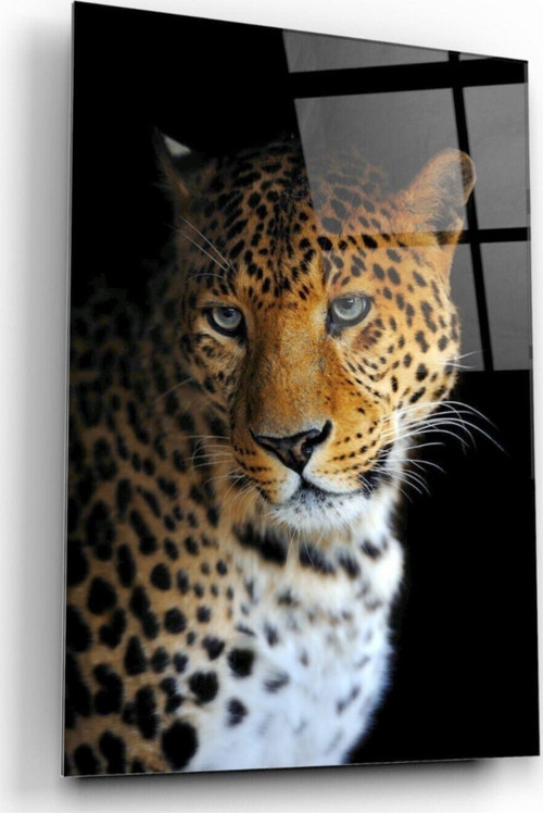 Leopar Cam Tablo