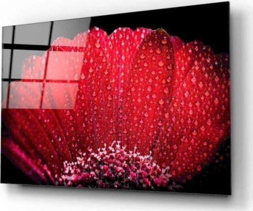 Kırmızı Çiçek Cam Tablo 50x70 Cm