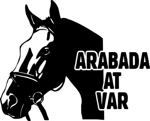 Arabada At Var - Araç, Oto, Laptop, Duvar Uyumlu Sticker 25*20 Cm