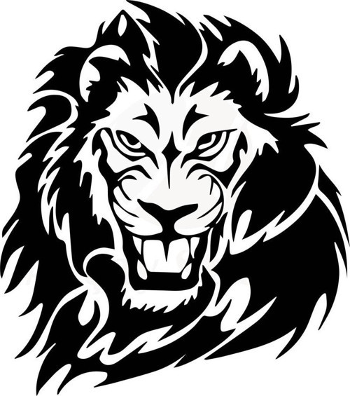 Aslan Tasarımlı Oto Motor Laptop Duvar Folyo Sticker 15 x 16