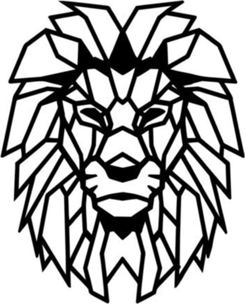 Aslan Tasarımlı Oto Motor Laptop Duvar Folyo Sticker 40 x 48