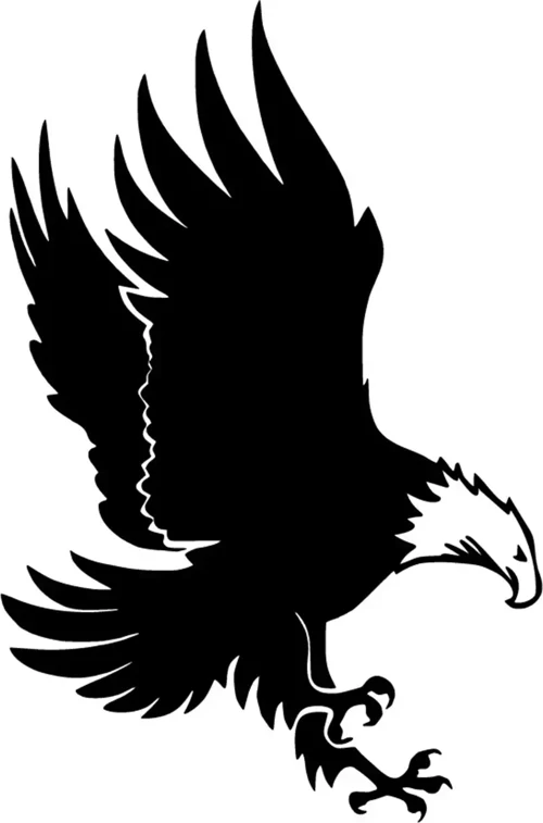 Avcı Kartal - Araç, Oto, Laptop, Duvar Uyumlu Sticker 10*15 Cm