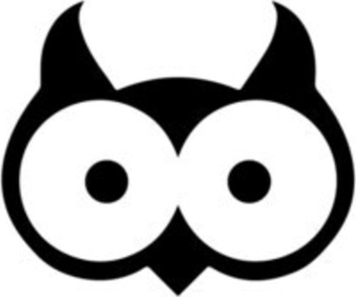 Baykuş Kafası Oto Motor Laptop Duvar Folyo Sticker 40 x 32