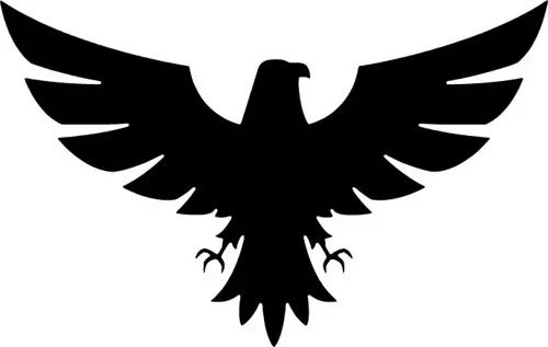 Kartal - Araç, Oto, Laptop, Duvar Uyumlu Sticker 20*30 Cm