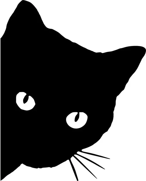 Kedi - Araç, Oto, Laptop, Duvar Uyumlu Sticker 40*52 Cm