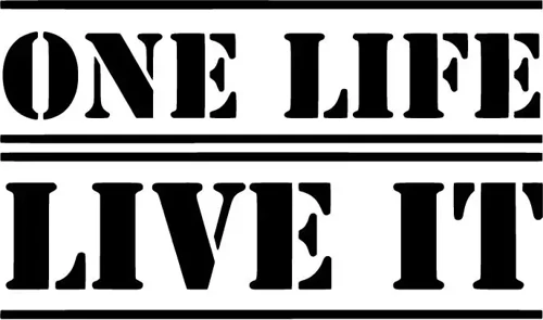 One Life Live It - Araç, Oto, Laptop, Duvar Uyumlu Sticker 40*24 Cm