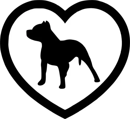 Pitbul Aşktır - Araç, Oto, Laptop, Duvar Uyumlu Sticker 40*36 Cm