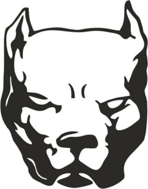 Pitbull Oto Motor Laptop Duvar Folyo Sticker 15 x 18