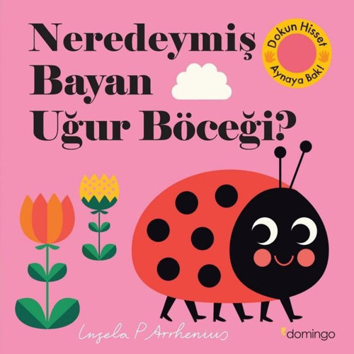 Neredeymiş Bayan Uğur Böceği? Dokun Hisset Aynaya Bak!