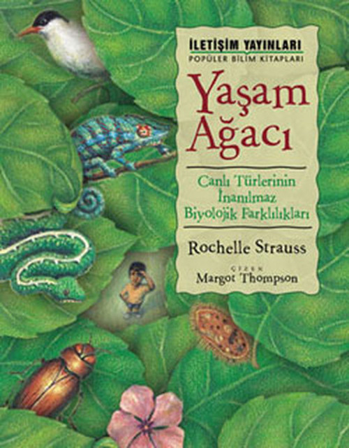 İletişim Yayınları Yaşam Ağacı