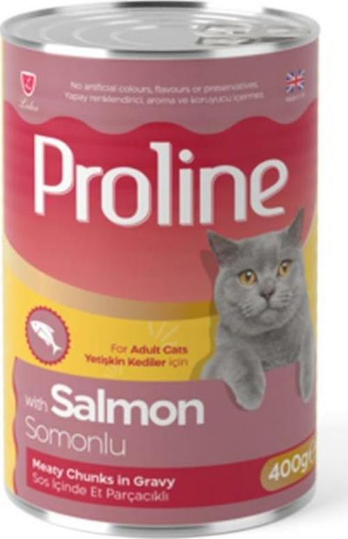 Somonlu Yetişkin Kedi Konservesi 400 Gr