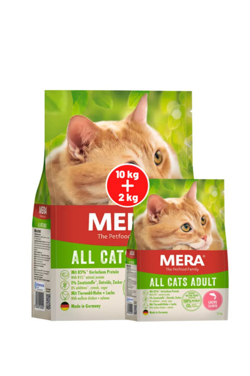 Taze Somon Balıklı Tahılsız Kısır Ve/Veya Yetişkin Kedi Maması 10 Kg + 2 Kg / 12 Kg