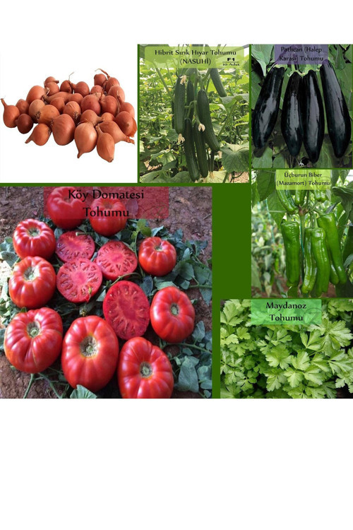 6 Paket Tohum No18 Arpacık Soğan 1 Kg. Iska Hibrit Salatalık Patlıcan Köy Domatesi Biberi Tohumu ...