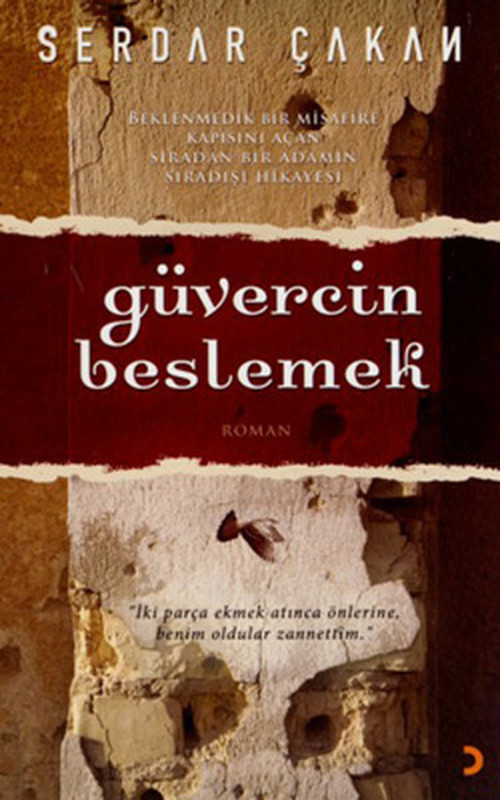 Güvercin Beslemek