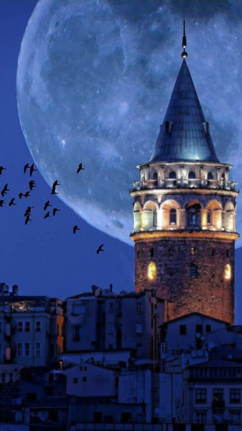 Renkli Baskılı Sayılarla Boyama Hobi Seti (Çerçeveli) 60X75 Cm: Galata Kulesi
