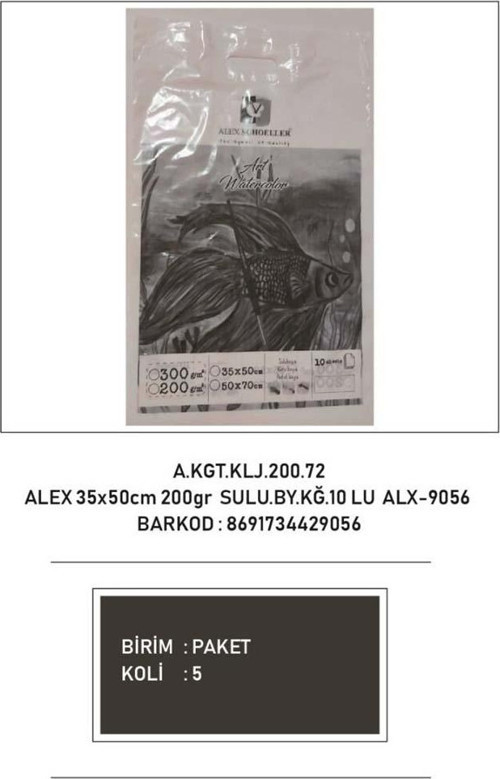 Sulu Boya Kağıdı 35x50 Cm 200 GR 10 Lu ALX-9056