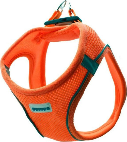 Air Mesh Kedi Köpek Göğüs Tasma Turuncu