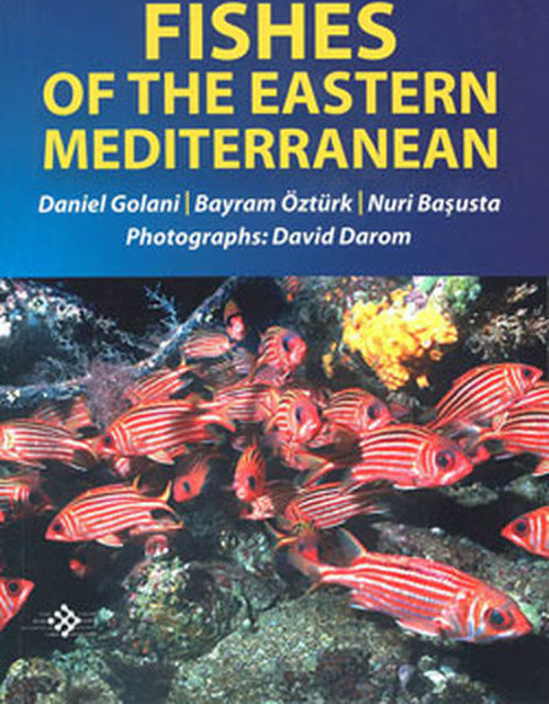 Fishes Of The Eastern Mediterranean