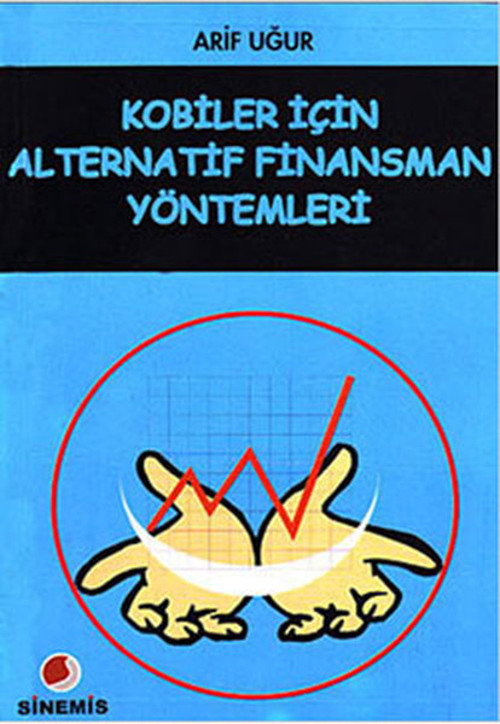 Kobiler İçin Alternatif Finansman Yöntemleri