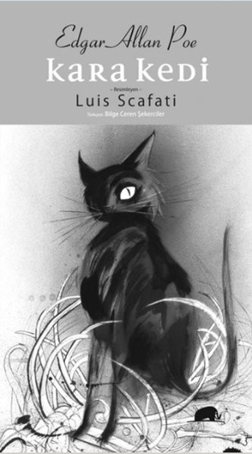 Kolektif Kitap Kara Kedi