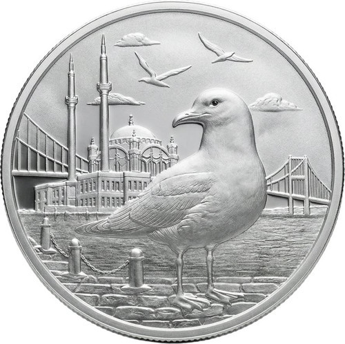 İstanbul Martısı Gümüş Sikke Coin