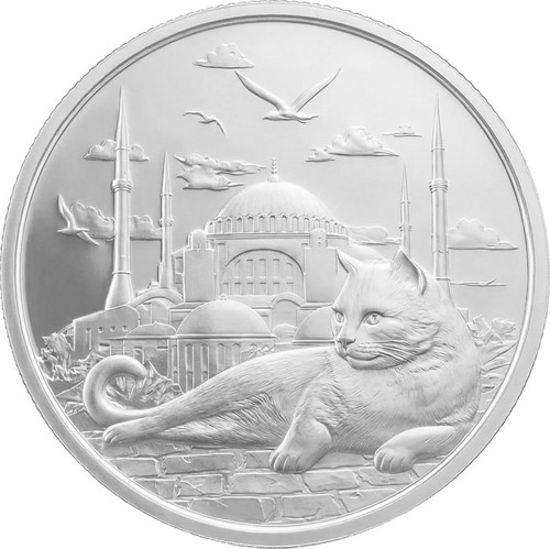 İstanbul Kedisi Gümüş Sikke Coin