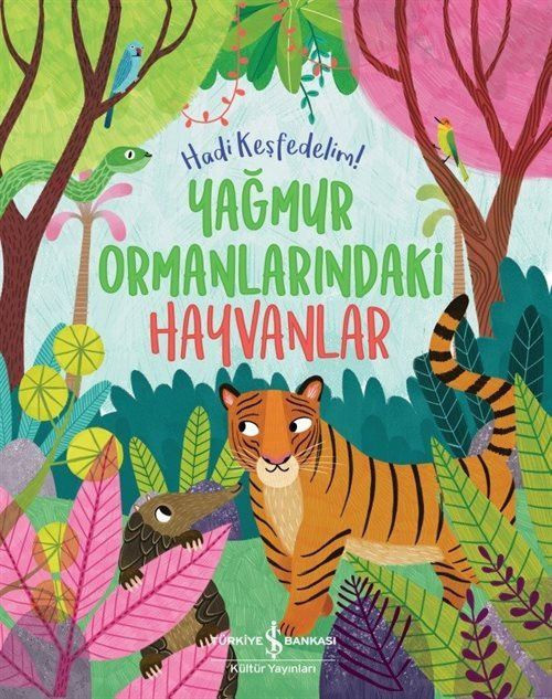 Yağmur Ormanlarındaki Hayvanlar / Hadi Keşfedelim!